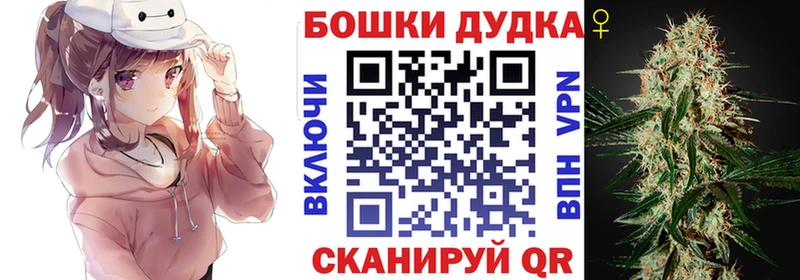 Бошки марихуана THC 21%  Черкесск 